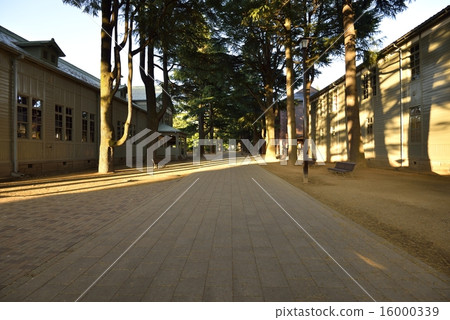 你的森林公園(Himalayan Sugi Namiki) 你的森林公園(Himalayan Sugi Namiki) 16000339