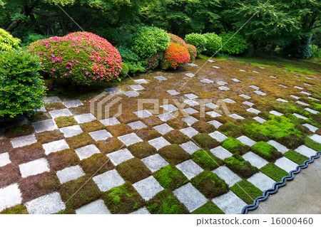 東福寺 - 月之元 16000460