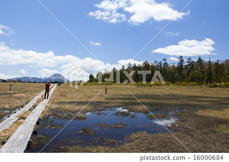 Spring Oku Onishi Marsh 1 16000684