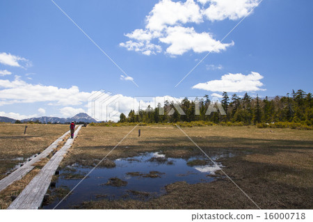 Spring Oku Oni Marsh 2 16000718