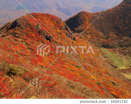 Scenery from the top of the mountain in autumn climbing to Oita Prefecture Kuju Renjozan Mt. 16001392