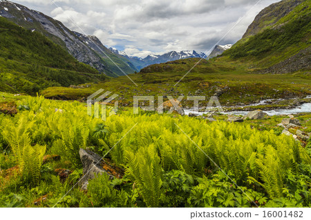 The picturesque mountain landscape with a creek The picturesque mountain landscape with a creek 16001482