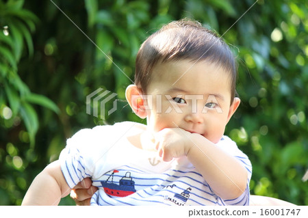 Baby (5 months) 16001747