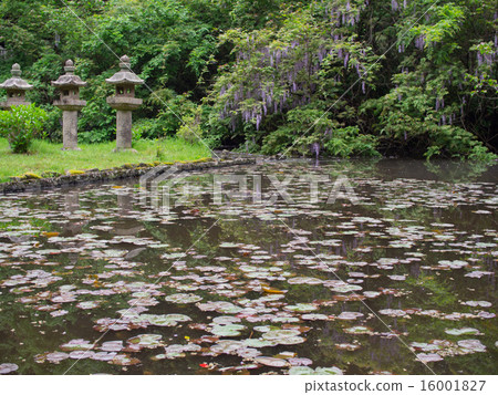 築地寺中島神社 築地寺中島神社 16001827