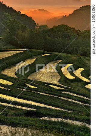 Dawn of the rice terrace 16001860