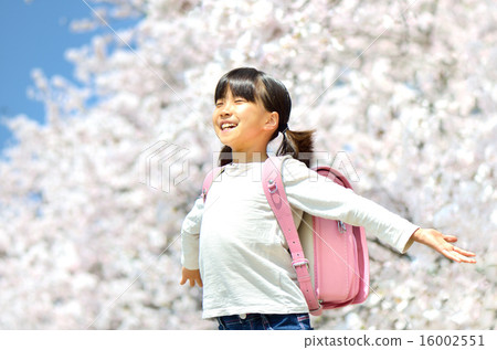 櫻花和小學女生 16002551