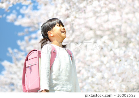 櫻花和小學女生 16002552