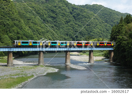 The Kiha E130 series new type diesel car crossing the Kujikawa River in the fresh green The Kiha E130 series new type diesel car crossing the Kujikawa River in the fresh green 16002617