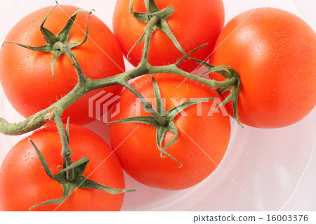 Tomato   16003376