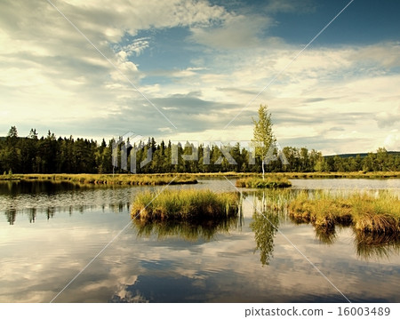 Early morning autumn lake in dreamy forest 16003489