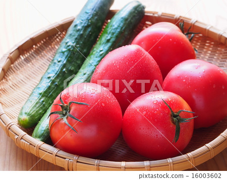 Tomato and cucumber Tomato and cucumber 16003602