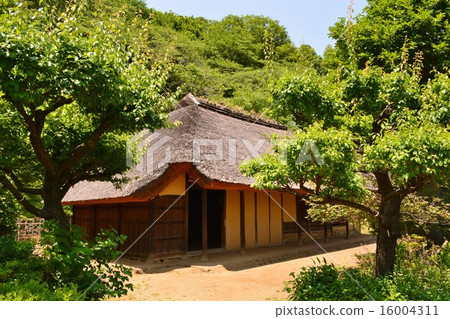 Green former Nagai family 16004311