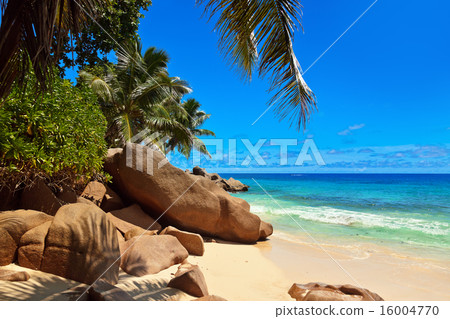 Tropical beach at Seychelles 16004770