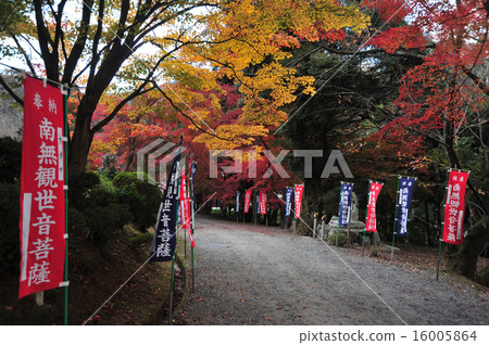 Fall of Shiga Mitsui-ji Fall of Shiga Mitsui-ji 16005864