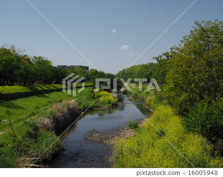 Nagawa在春天 16005948