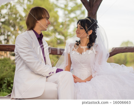 Couple love bride and groom posing sitting on wood 16006663