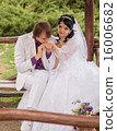 Couple love bride and groom posing sitting on wood 16006682