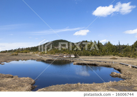 Spring Oku Onishi Marsh 14 16006744