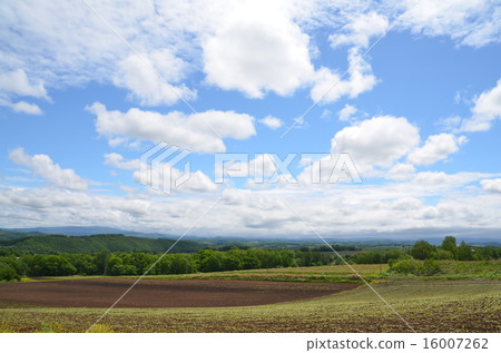 壮丽景色 北海道 美瑛 图库照片