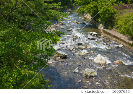 Kiitakigawa 16007623