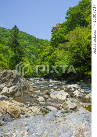 Kiitakigawa 16007737