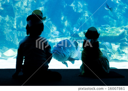 隨著大魚和凝視 16007861