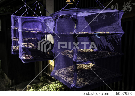 曬乾的太陽 曬乾的太陽 16007938