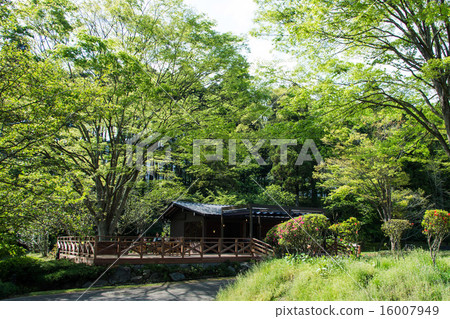 Terrace seating 16007949