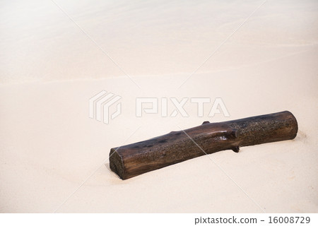 Old piece of wood on the beach Old piece of wood on the beach 16008729