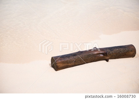 Old piece of wood on the beach 16008730