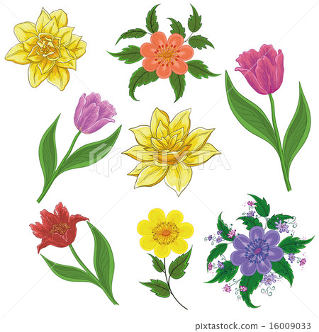 Flowers, set 16009033