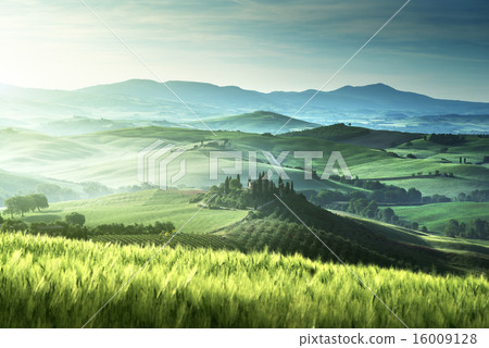 Early spring morning in Tuscany, Italy 16009128