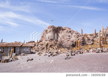 Uyuni's Cactus Island 16009289