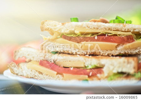 Cheese sandwich Cheese sandwich 16009865