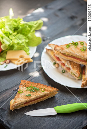Cheese sandwich 16009868