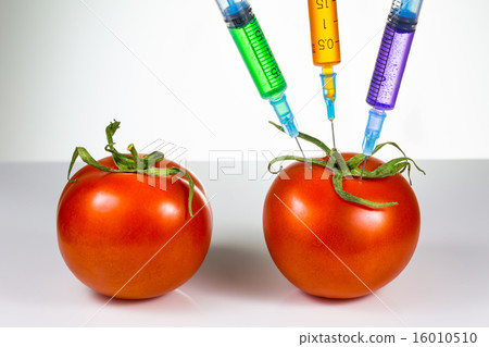 Genetic modification 16010510