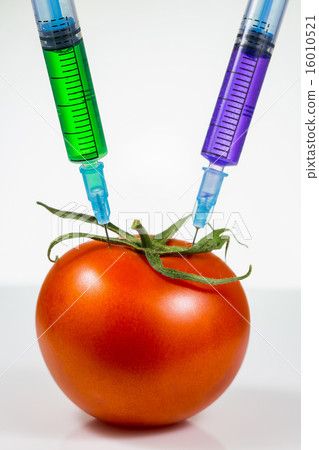 Genetic modification 16010521