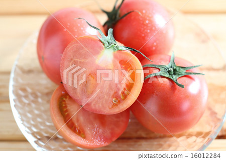 蕃茄 16012284
