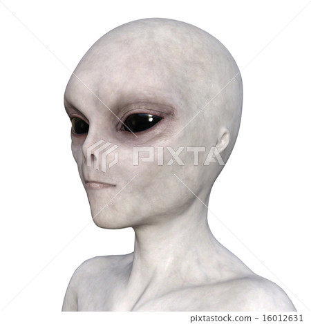 alien alien 16012631