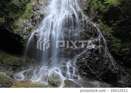 奈良縣川上村Mifune瀑布 奈良縣川上村Mifune瀑布 16012651