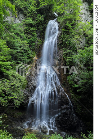 奈良縣川上村Mifune瀑布 奈良縣川上村Mifune瀑布 16012654