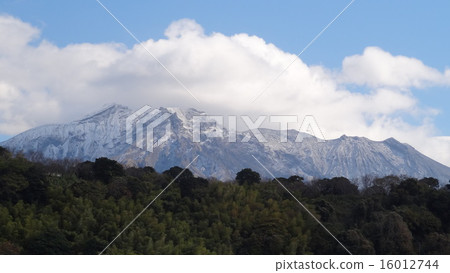 櫻島雪妝 櫻島雪妝 16012744