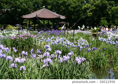 Seongno虹膜花園 Seongno虹膜花園 16012956