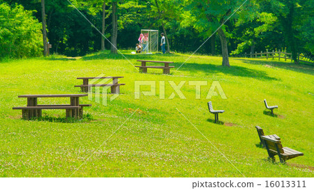 Fresh green 16: 9 Fresh green 16: 9 16013311