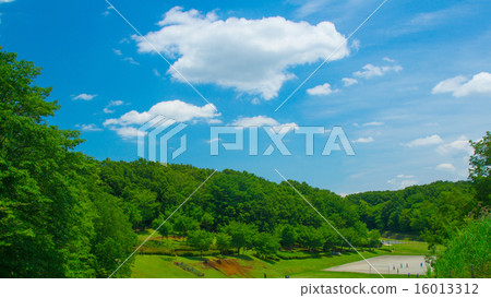 Fresh green 16: 9 16013312