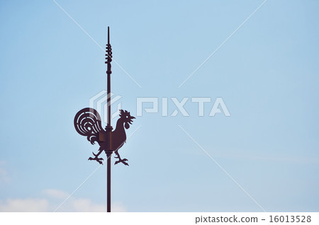 Weathercock 16013528