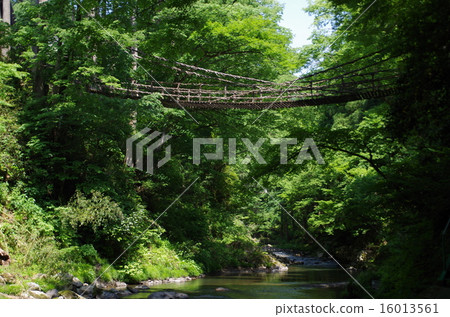 池田的Kazura Bridge 16013561