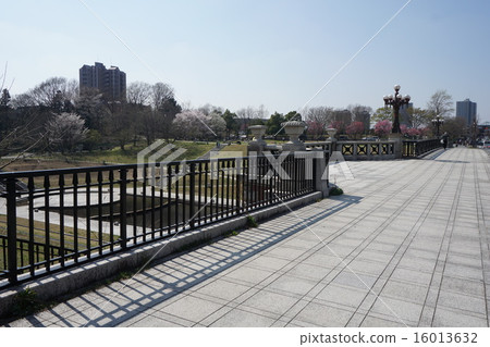 Hachioji Municipal Higashike Park 16013632