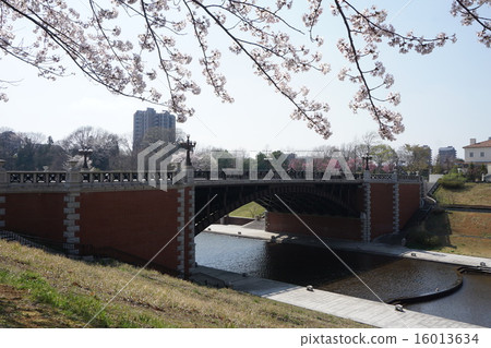 八王子市東日公園 16013634