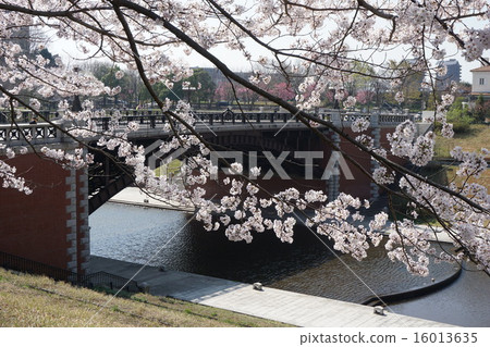 Hachioji Municipal Higashike Park 16013635
